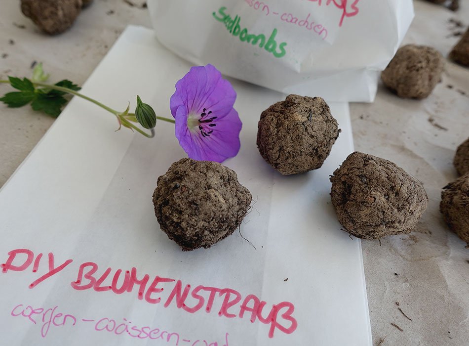 DIY Blumenstrauß aus Samenbomben